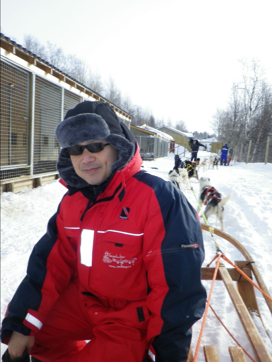 Dogs sledge47